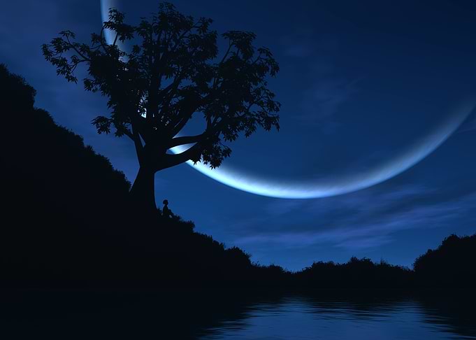 Reverie