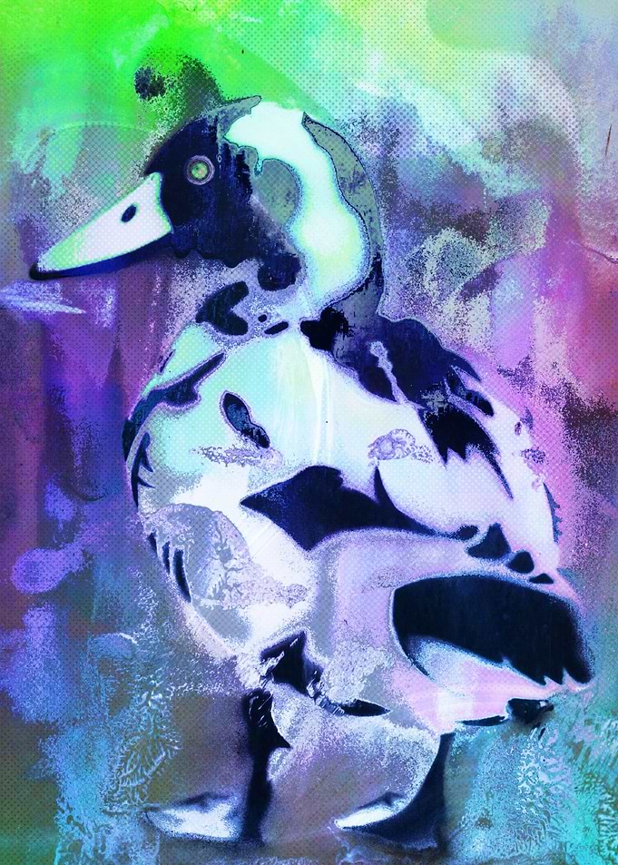 Duck abstract