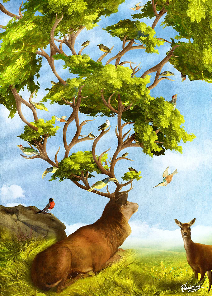 The Forest of Songs