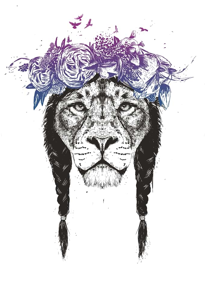 King of the jungle