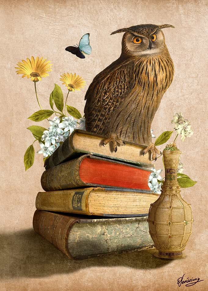 Wise Owl