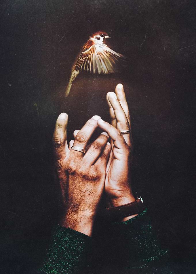 Release