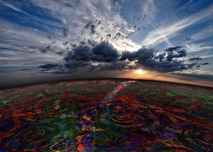 Sunset With Birds