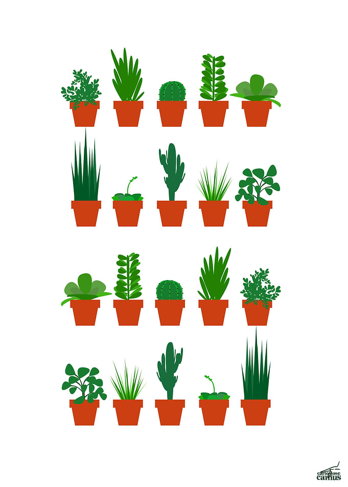 Small Plants