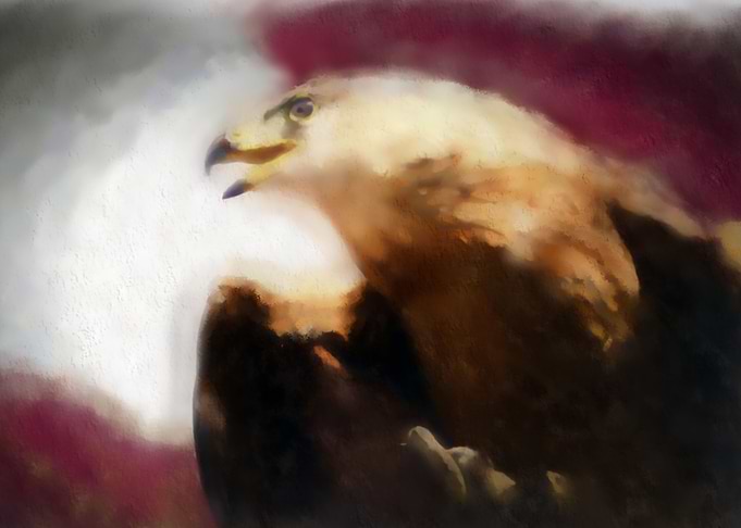 'Independence Eagle' honoring America's Independence an ...