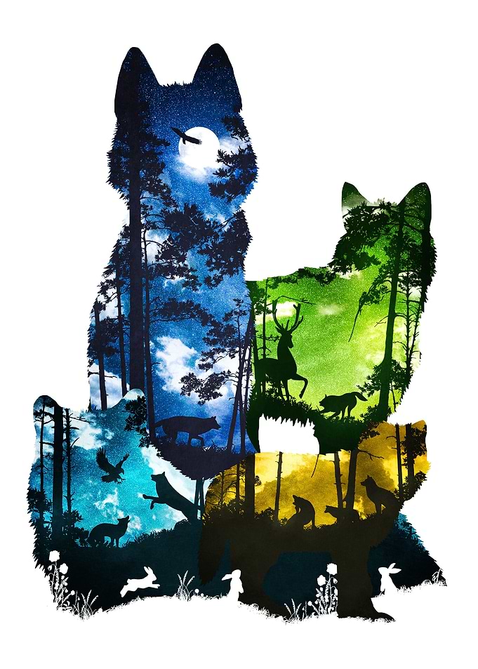 Wolf Pack