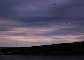 Latest drop