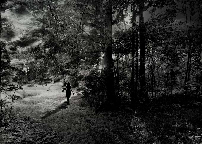 Moonlight Walk
