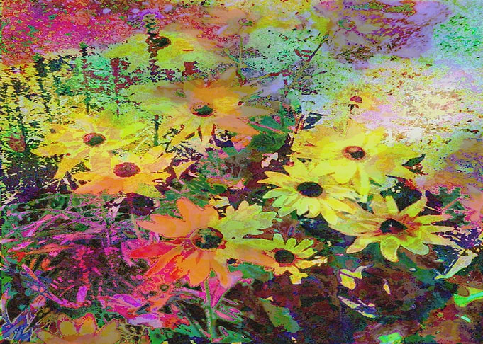 watercolor daisies flowers modern colorful rainbow oran ...