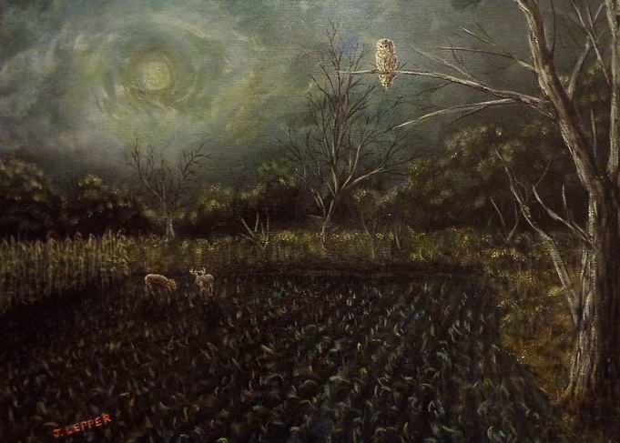 In an eerie night, a Barred Owl perched on a dead oak t ...