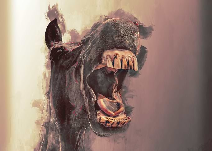 Braying Horse - seem like a snap shot out of the series ...