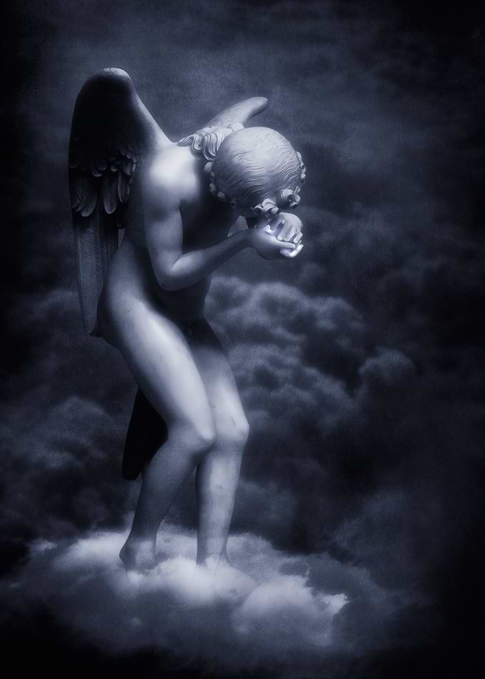 Angel Boy