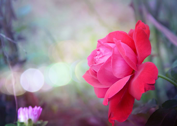 Romantic