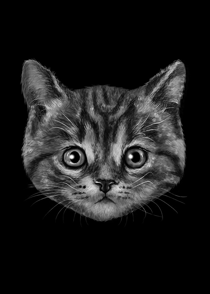 Cat is the New Black