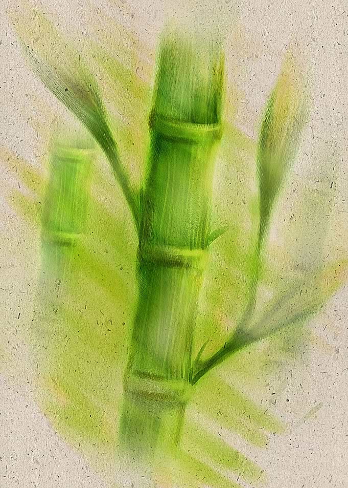 Bamboo