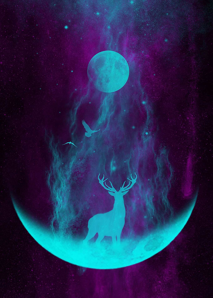 Enlightened Forest