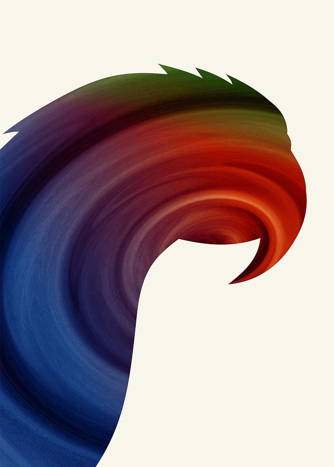 Macaw