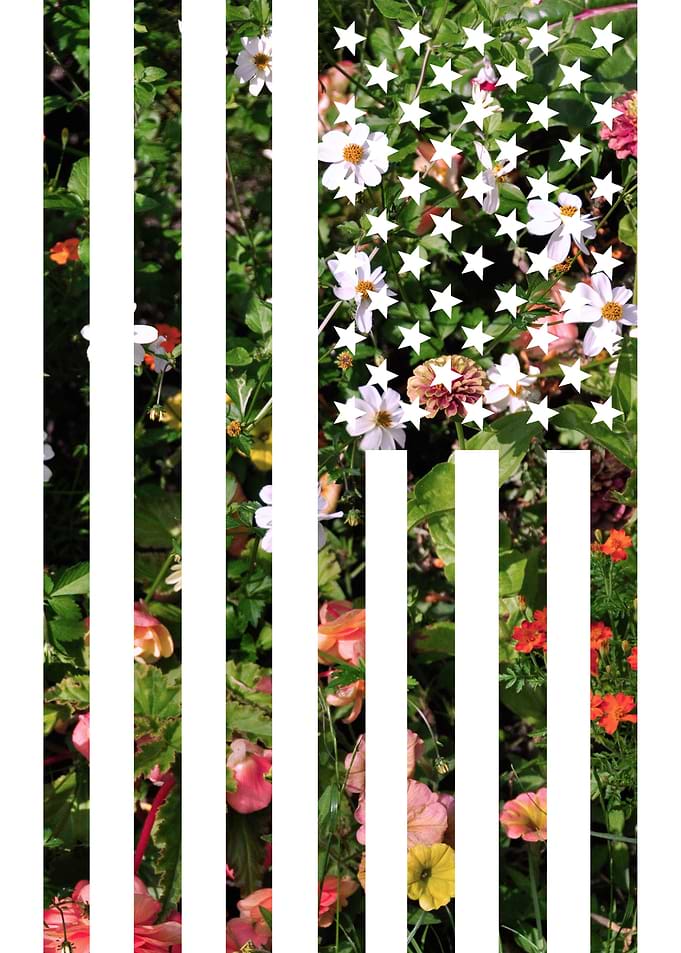 I used a photo I took of a flower bed as well as a vect ...