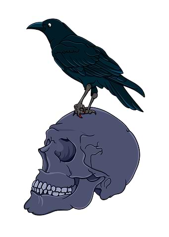 A raven standing on top of a human skull.