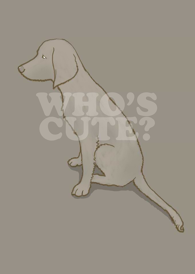 Weim 001