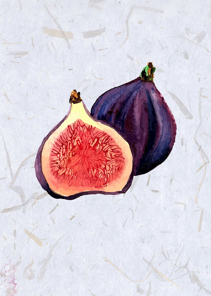 Figs in watercolor.