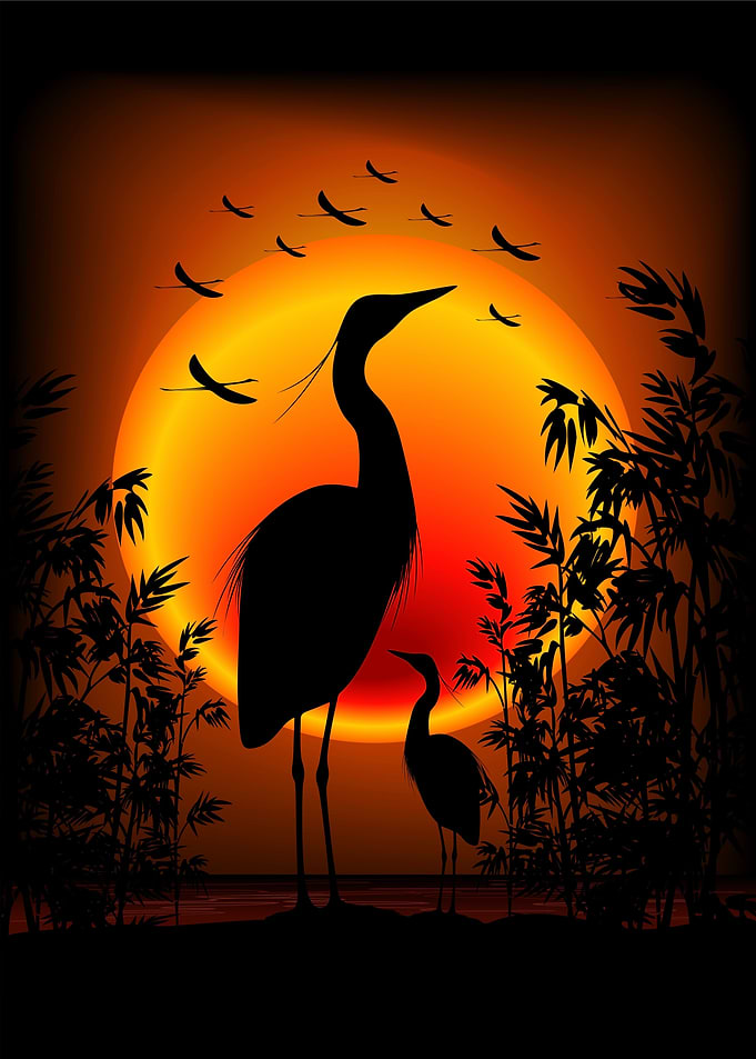 Heron Shape on Exotic Zen Sunset