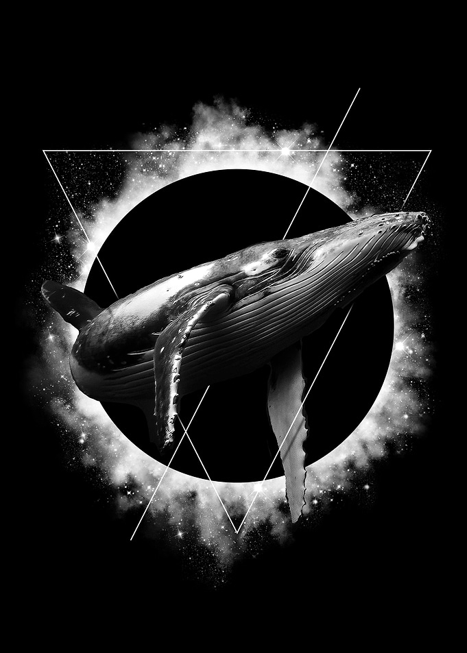 Space Plunge