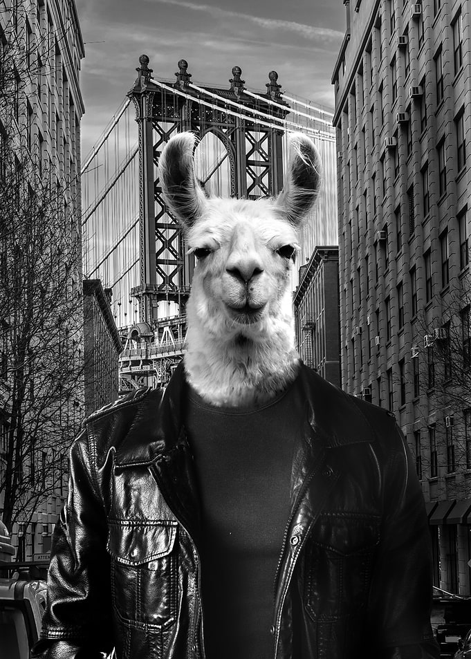 NY Tourist