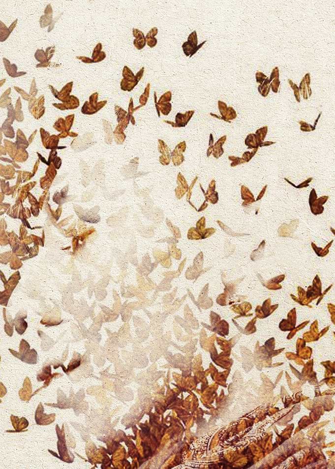 Butterfly People 1