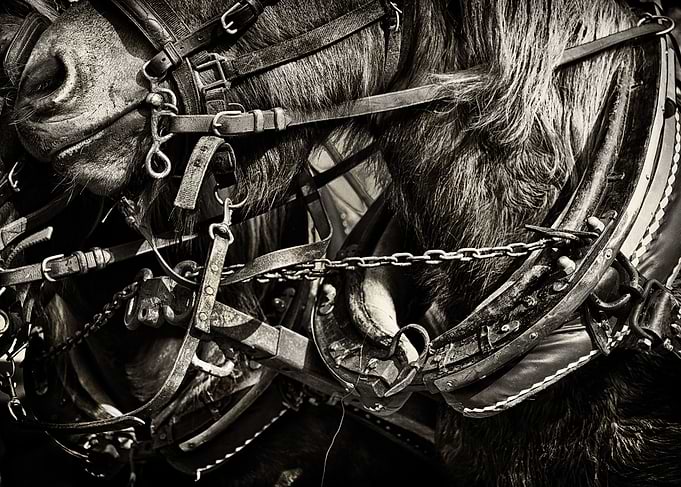 A shot I took some years ago, during a fair. These wond ...