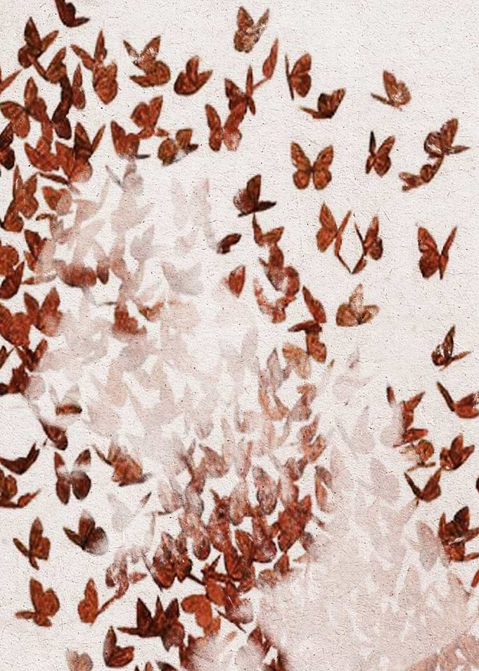 Butterfly People 2