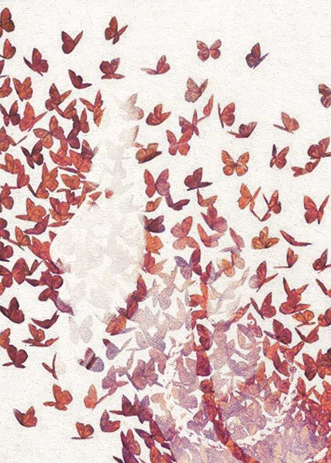 Butterfly People 4