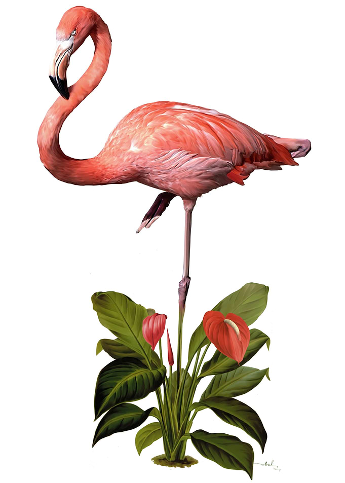 Flamingo Painting