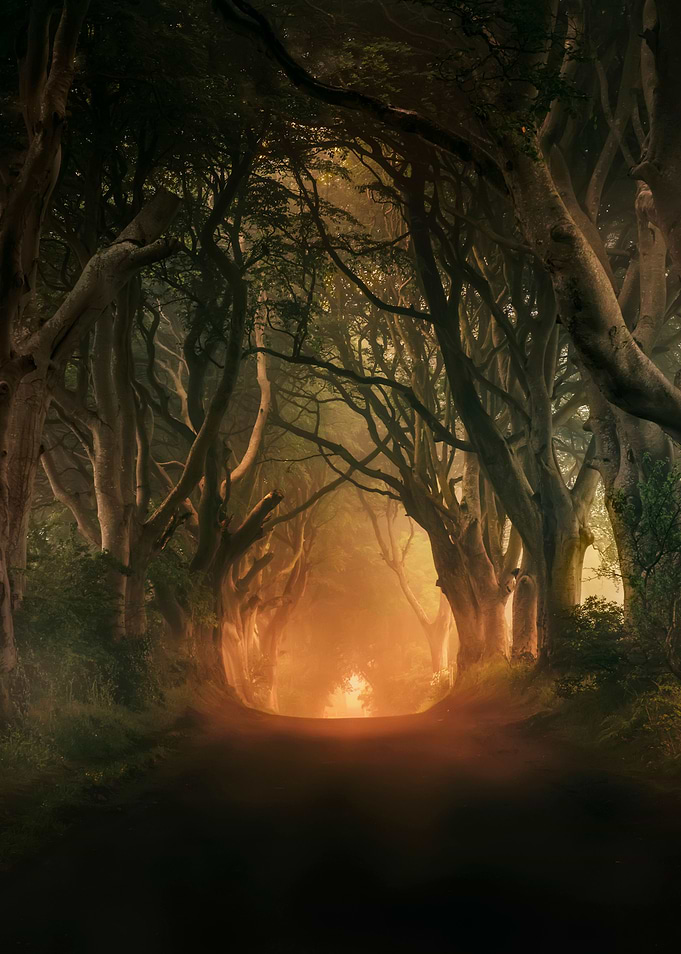 Sunrise at Dark hedges, Ireland