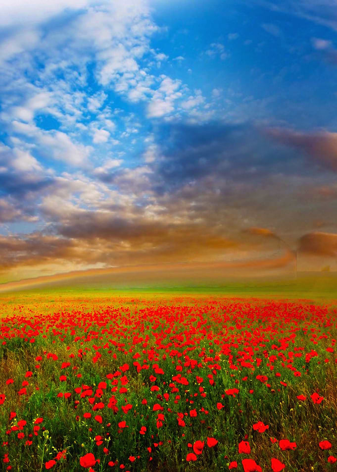 A stunning landscape of a