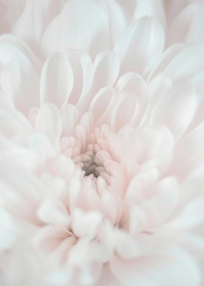 Flower Power 3