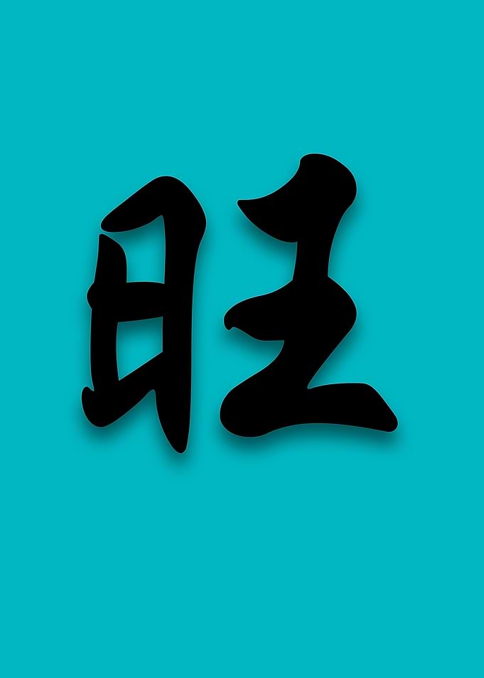 chinese character - 'Prosperous'
