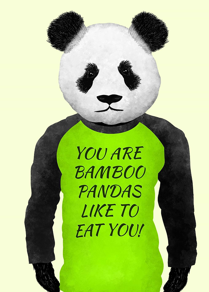 Illustration of a panda bear wearing a green t-shirt wi ...