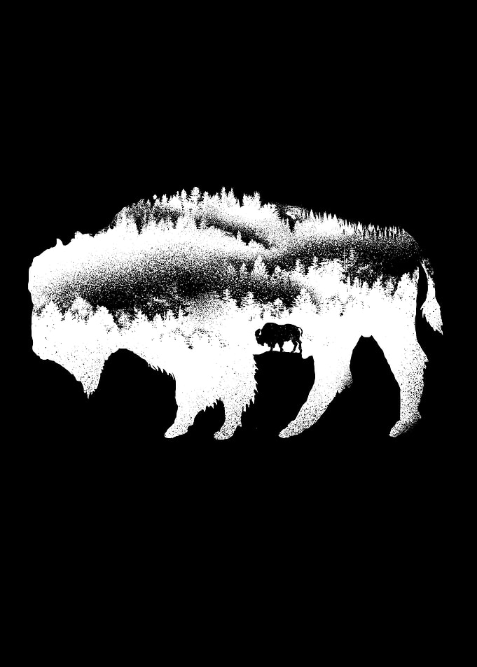 American bison