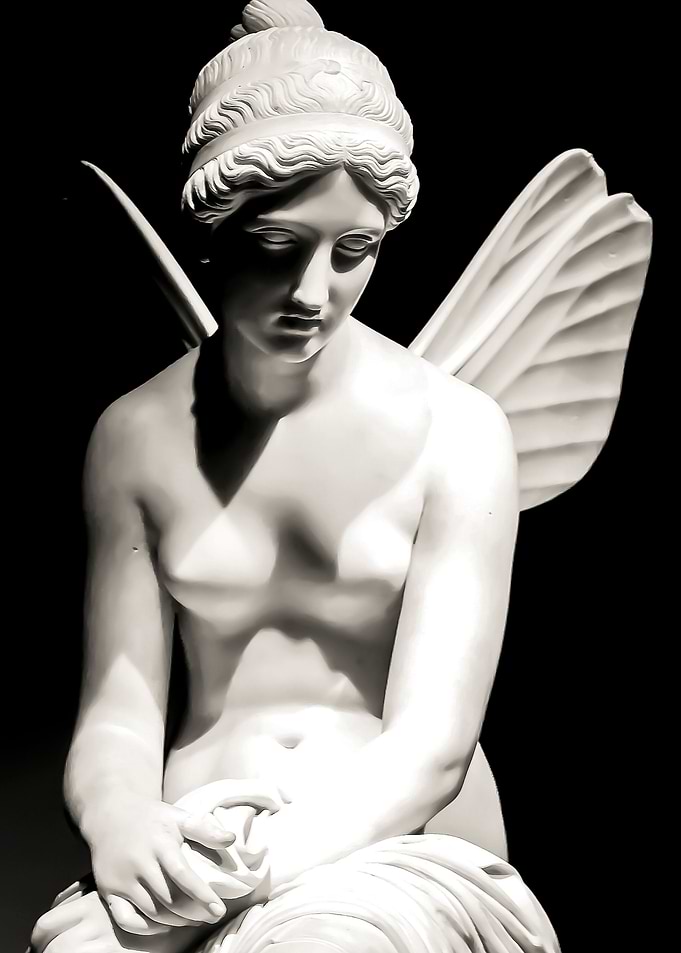 Fairy