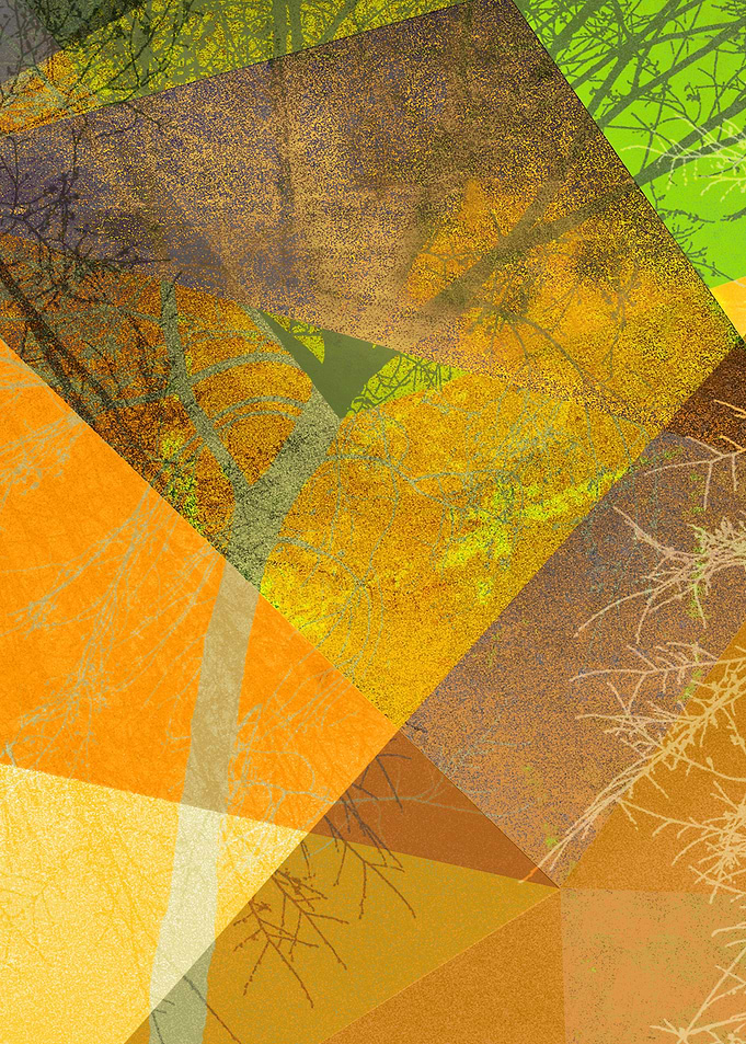 P24-3a Trees and Triangles