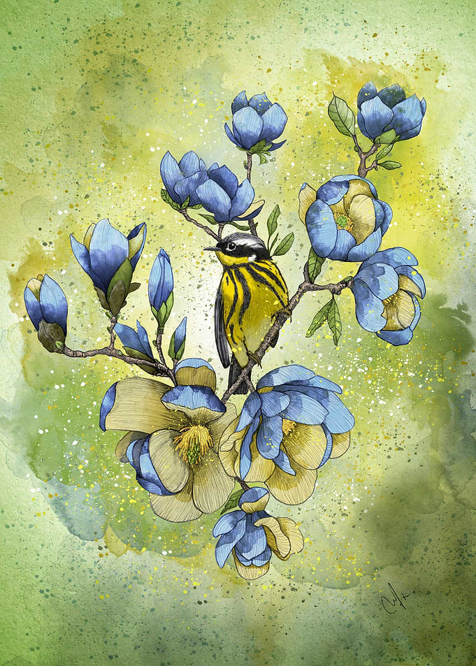 Magnolia Blues