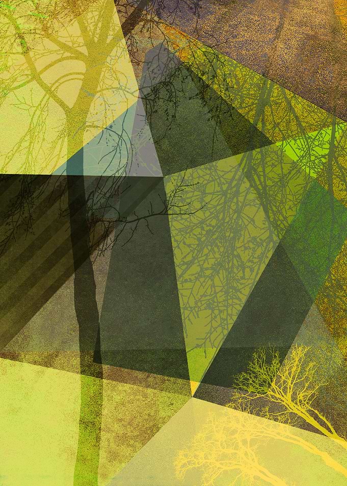 P24-2a TREES AND TRIANGLES
