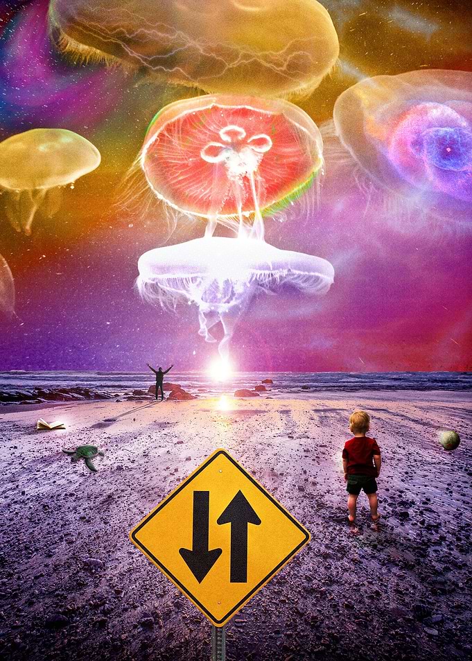 The Day of the Jellies