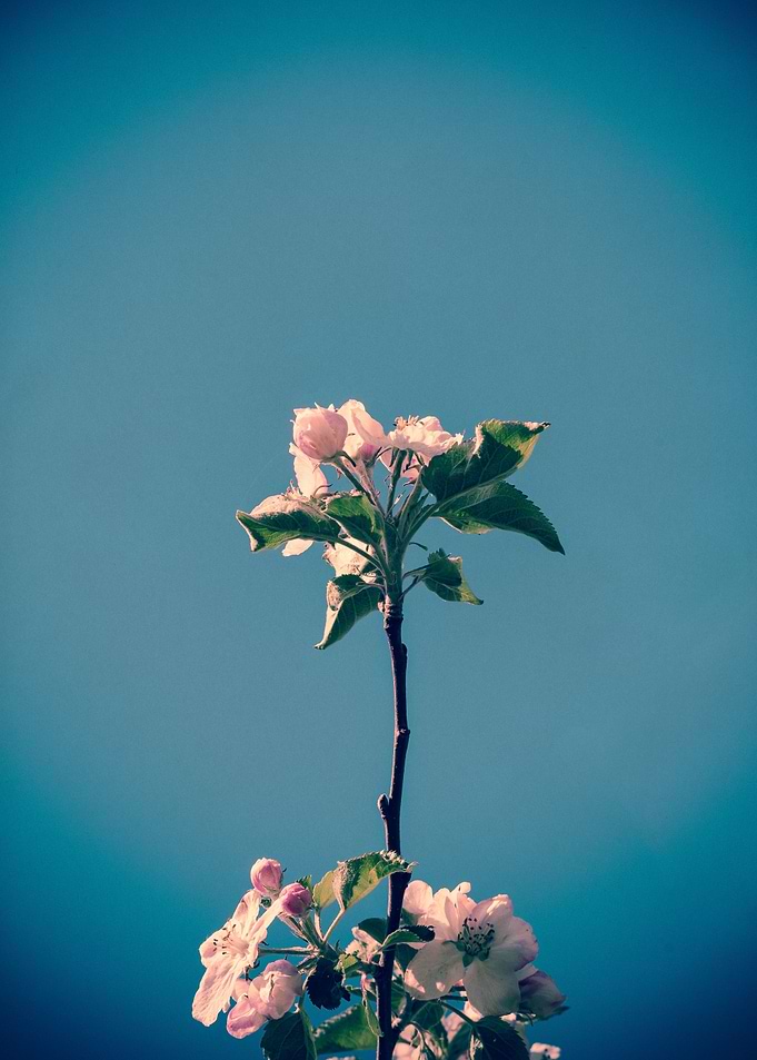 Rise | Photography, Nikon D750