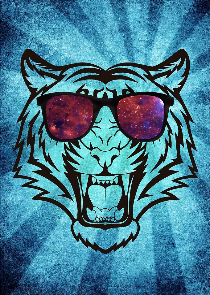 Tiger in Galaxy shades