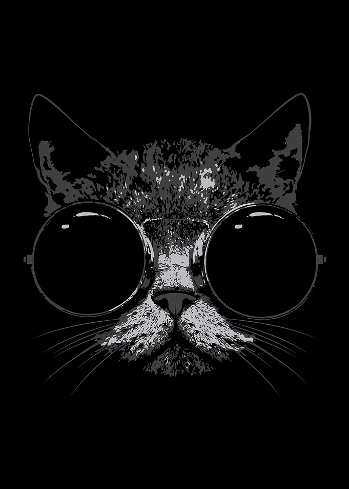 Cat Style