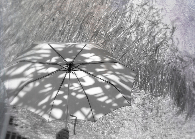 umbrella