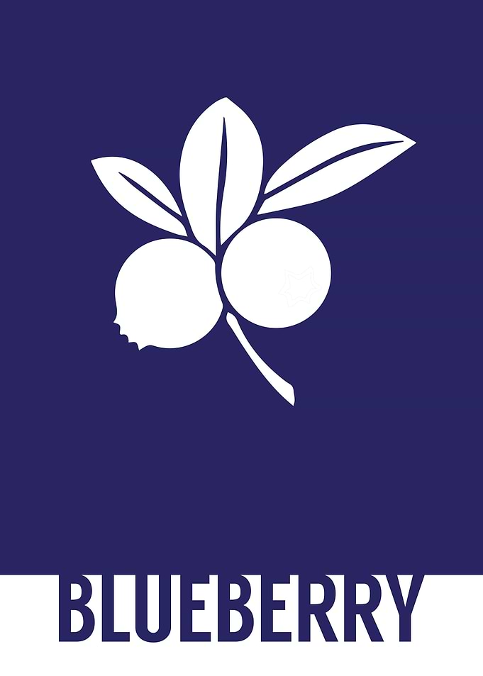 Blueberry.