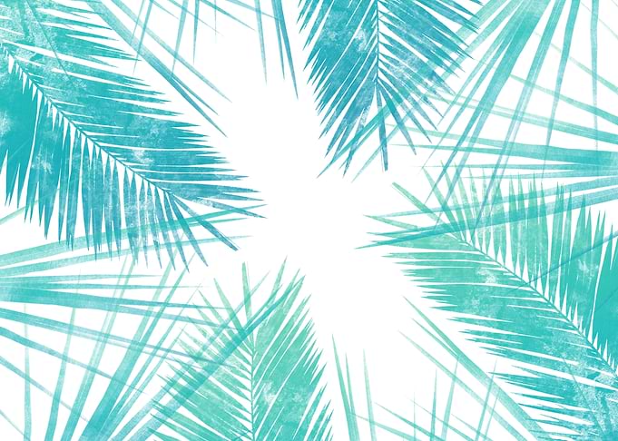 Tropic